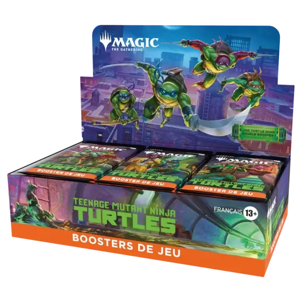 Display Tortue Display – Teenage Mutant Ninja Turtles