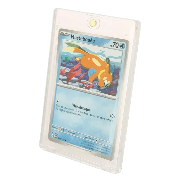 69205-a Protection Acrylique – Magnétique – Carte