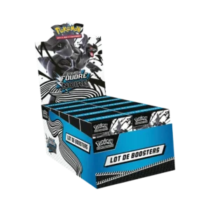 Bundle-Display EV10.5 - Foudre Noire / Flamme Blanche (FR)
