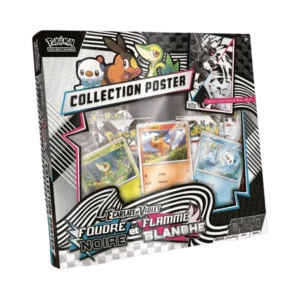 Poster Collection Box EV10.5 – Foudre Noire & Flamme Blanche (FR)